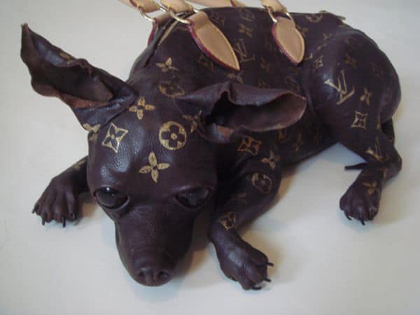 Reeeallly?...The Louis Vuitton Inspired Doggie Bag