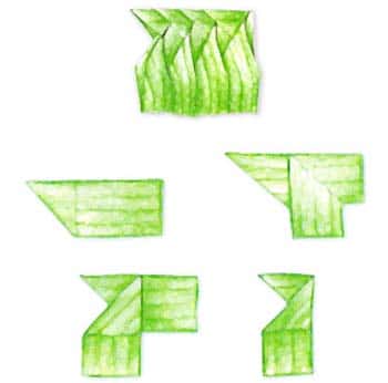 Bananas Over Bananas!