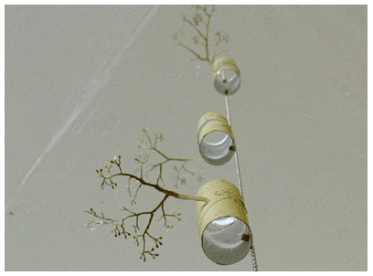 A Rain Forest you’ve never seen before