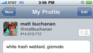 The Big Bird of Twitter