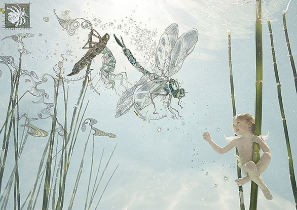 Water Babies, a dreamy tale Water Babies, a dreamy tale
