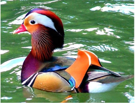 A Look At Our World In Full Color A Look At Our World In Full Color