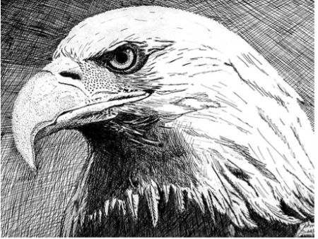 Different Pen and Ink Techniques – Photo Inspiration Different Pen and Ink Techniques – Photo Inspiration