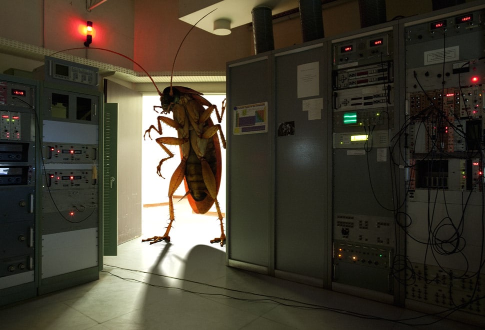 You Don’t Want This Bug In Your System! You Don’t Want This Bug In Your System!