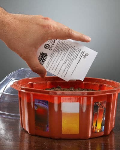 How To: Grow Your Own Beer Garden