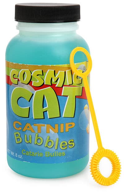 Lure Your Kitten To Play With Bubble Catnip