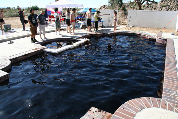 The Soda Pop Swimming Pool: Would You Swim In It? The Soda Pop Swimming Pool: Would You Swim In It?