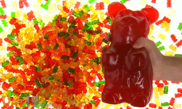 Check Out The World’s Largest Gummy Bear!