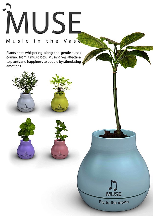 Improve The Relationship Between You & Your Plants Improve The Relationship Between You & Your Plants