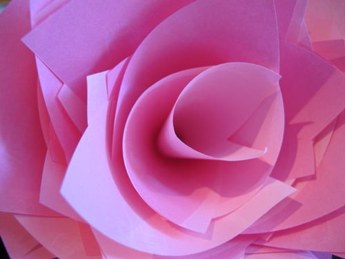 A Post-It Rose Says More Than Any Words Written On It! A Post-It Rose Says More Than Any Words Written On It!