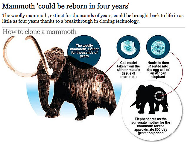 Science: How To Clone An Extinct Mammoth Science: How To Clone An Extinct Mammoth