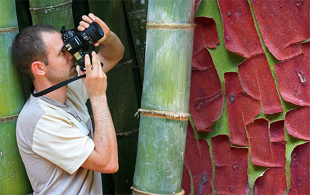 Fascinating Tree Bark From Around The World Fascinating Tree Bark From Around The World
