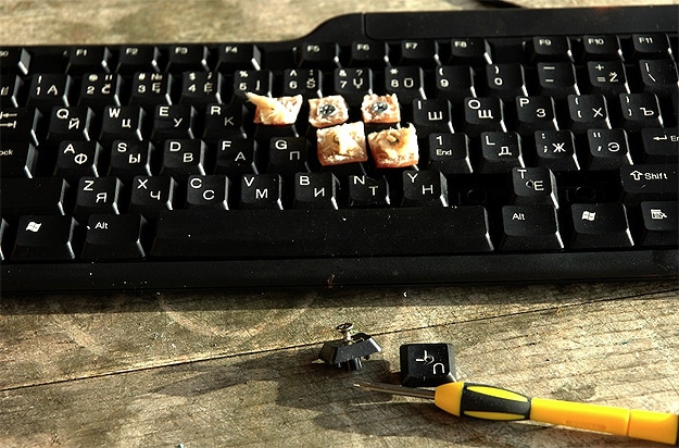 Real Birds Are Now Tweeting On Twitter (Really!) Real Birds Are Now Tweeting On Twitter (Really!)