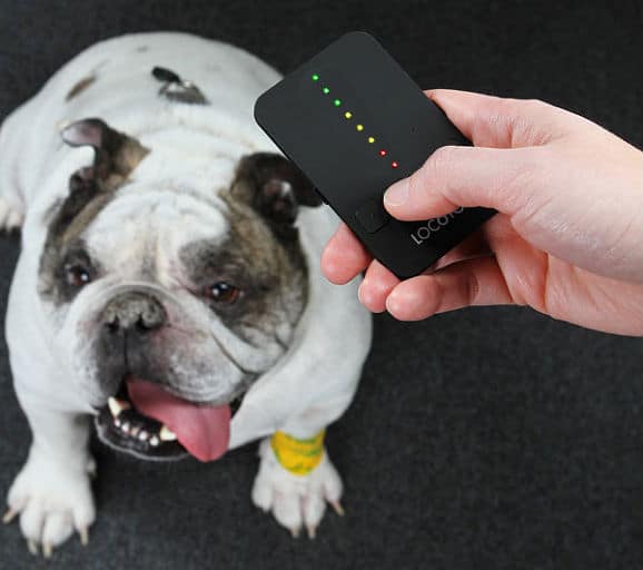 Pet Loc8tor: The Gadget That Finds Your Missing Pet
