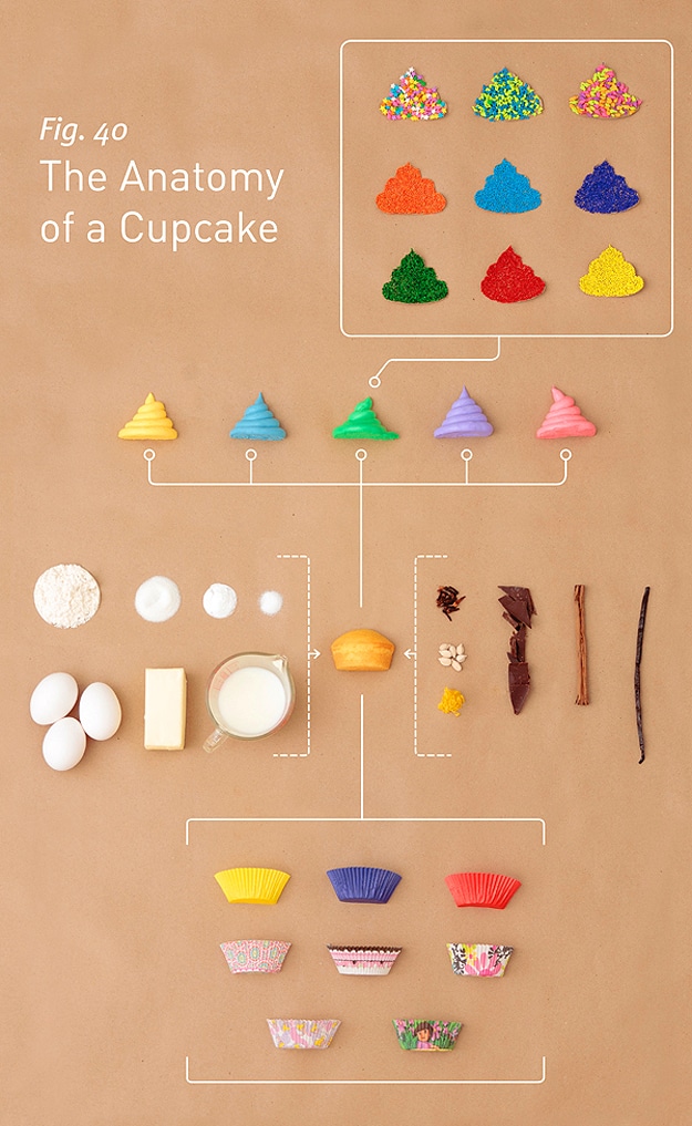 The Anatomy Of A Cupcake