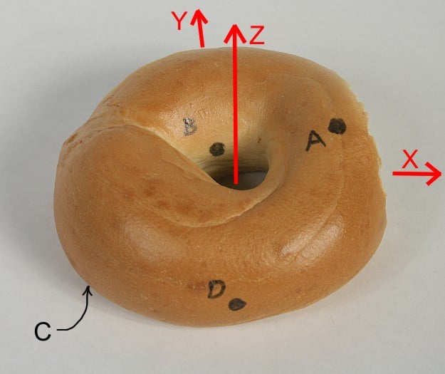 How To: Make A Mathematically Correct Bagel How To: Make A Mathematically Correct Bagel
