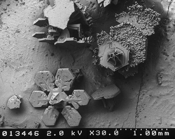 Wow! Snowflakes Under A Microscope Wow! Snowflakes Under A Microscope