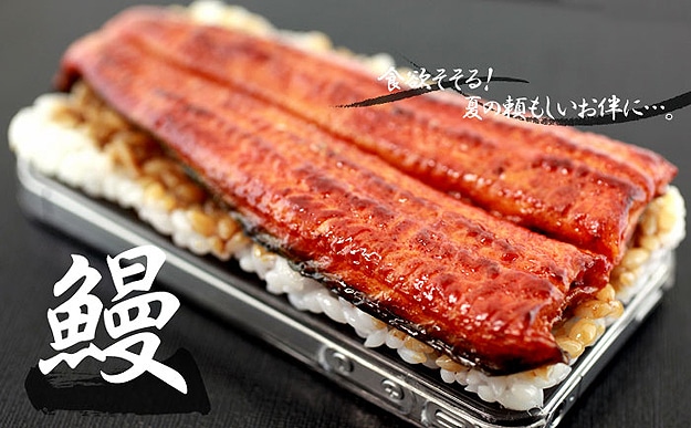 Japanese Design: Deliciously Realistic Unagi iPhone Cover