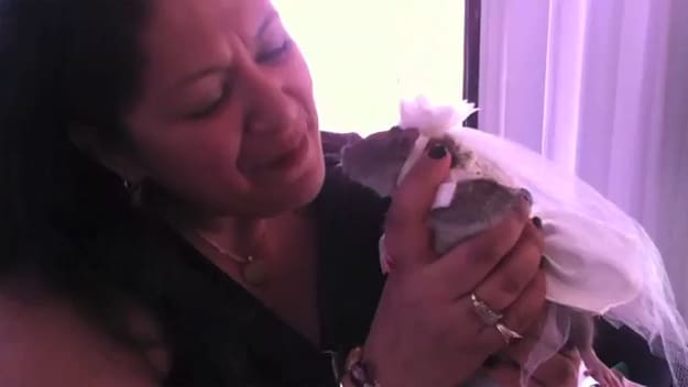 Rat Convention: Yes, There Really Is One Rat Convention: Yes, There Really Is One