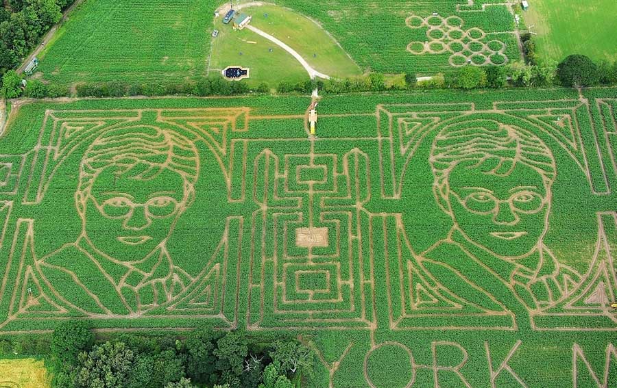 Harry Potter Fan Creates Insane Portrait In Corn Field Harry Potter Fan Creates Insane Portrait In Corn Field