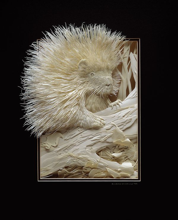 Unbelievable Paper Art: Wildlife In Insane Detail Unbelievable Paper Art: Wildlife In Insane Detail