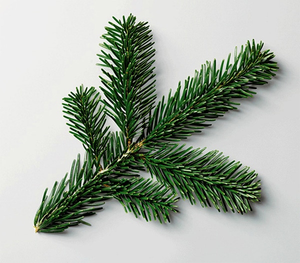 Digital OCD: Making Sense Out Of The Madness [Photography]