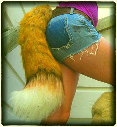 Become A Sexy Beast With A Bushy Tail & Fuzzy Ears Become A Sexy Beast With A Bushy Tail & Fuzzy Ears