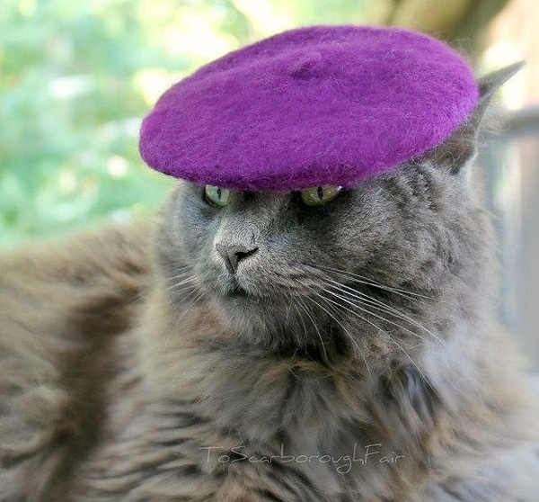 Colorful Cat Hats: Give Your Cute Cat Some Style Colorful Cat Hats: Give Your Cute Cat Some Style