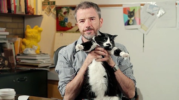 Catvertising: All Advertising Is Shifting To Cat Videos Catvertising: All Advertising Is Shifting To Cat Videos