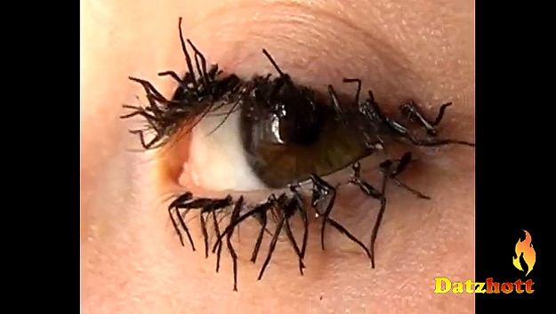 Bizarre Beauty: Fake Eyelashes Created From Dead Fly Legs Bizarre Beauty: Fake Eyelashes Created From Dead Fly Legs