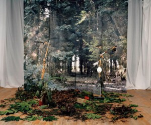 Almost Real Sub-Reality Inside Photography