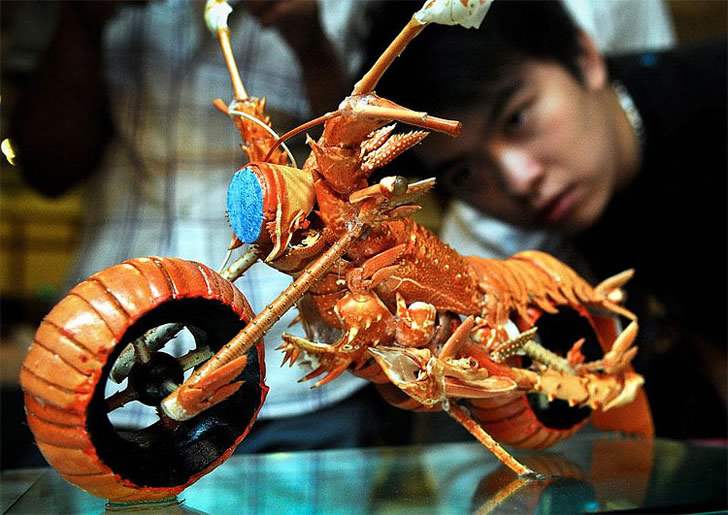 The Lobster Motorcycle: A Mind Blowing Food Carving The Lobster Motorcycle: A Mind Blowing Food Carving