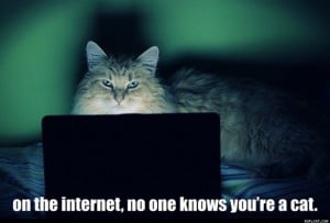 Saturdays are Caturday on Internet