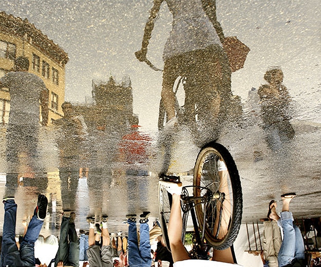 Photos Taken Through Puddles: A Twisted Reflection Reality Photos Taken Through Puddles: A Twisted Reflection Reality