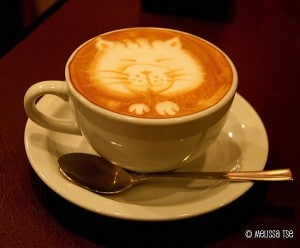 Latte Kitty Coffee Art