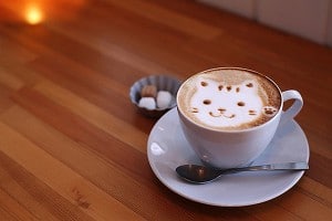 Latte Kitty Coffee Designs
