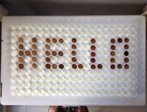 Project With The Kids