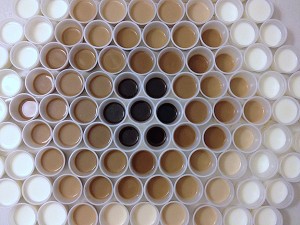 Project With The Kids