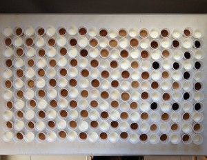 Project With The Kids