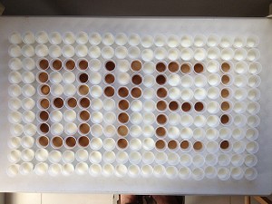 Project With The Kids