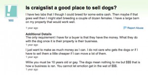 Craigslist-Dog-Abuse-Ad-Screenshot
