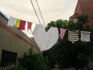 Heart Photography Found Outside