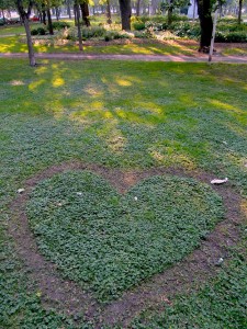 Heart Photography Found Outside