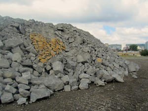 Heart Photography Found Outside