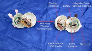 Give A Real Kiss Online