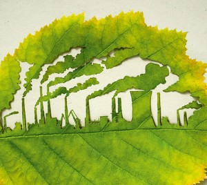 Building Carved In A Leaf