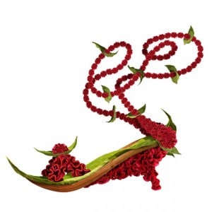 Red_Flower_Strapy_Botanical_Shoe