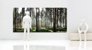 Tiny Gallery Art Installation