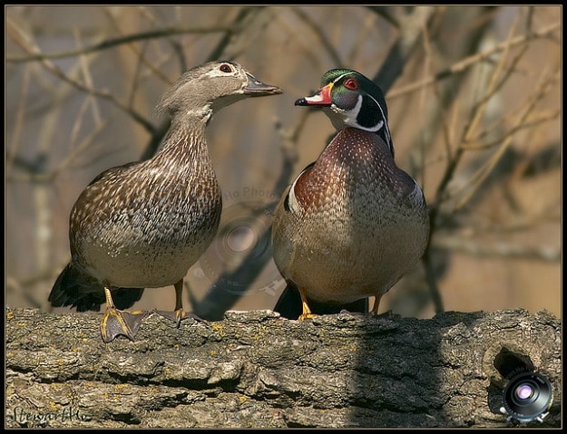 Business & Brand Communication: The Impact Of Your Words Matter