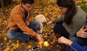 dog leaves man woman